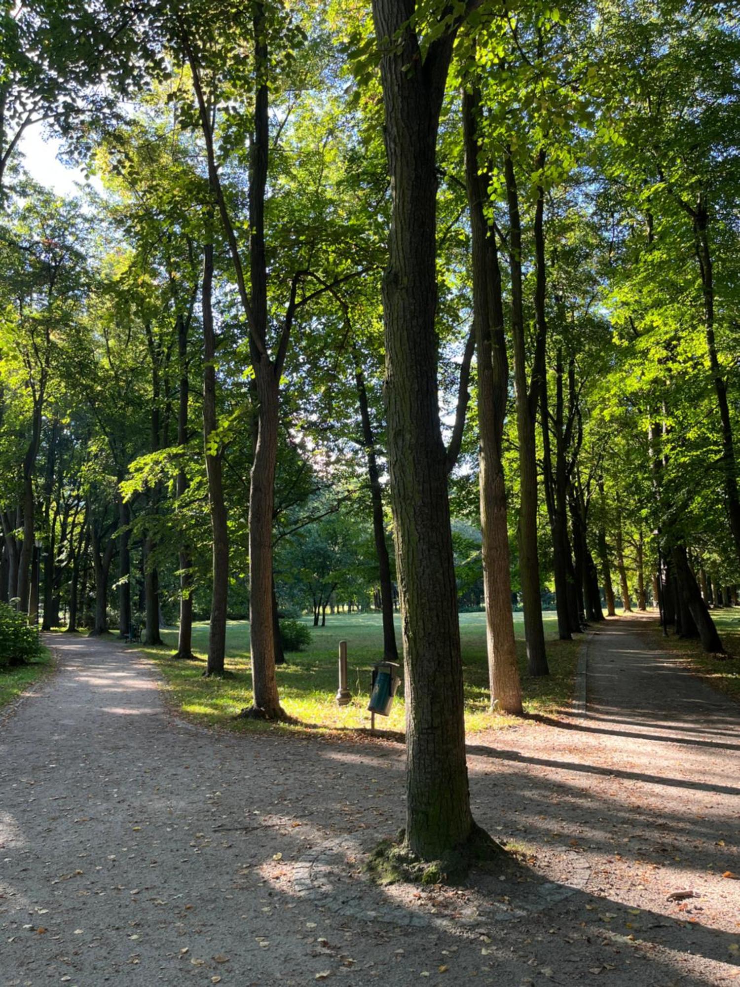 Sweet Home Cieplice Mountain View Apartament By The Main Park And Thermal Pools Jelenia Góra Esterno foto